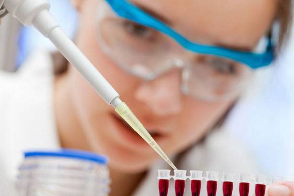 Лечение аскаридоза у взрослых, симптомы и профилактика