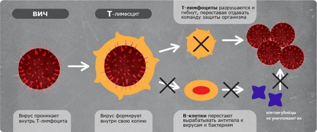 Первые признаки ВИЧ у мужчин и женщин, основные симптомы ВИЧ указывающие на заражение