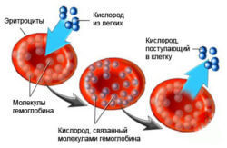 Как быстро избавиться от темных кругов под глазами за 2 дня