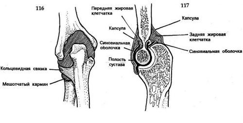 Бурсит локтевого сустава: фото, симптомы и лечение
