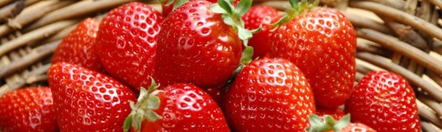Польза и вред клубники для организма