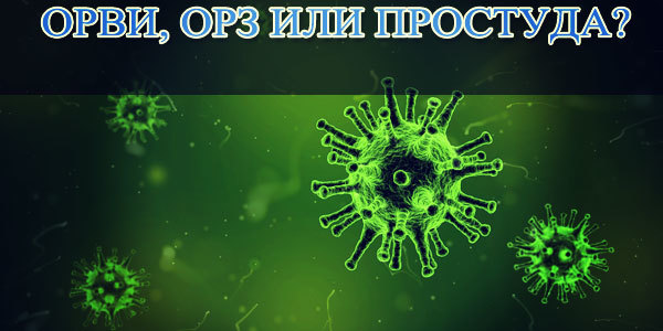 Симптомы ОРВИ у взрослых, лечение и правила профилактики