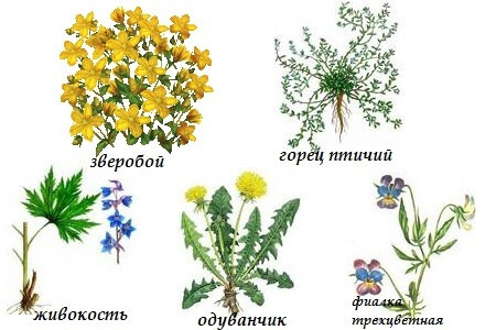 Как лечить камни в мочевом пузыре