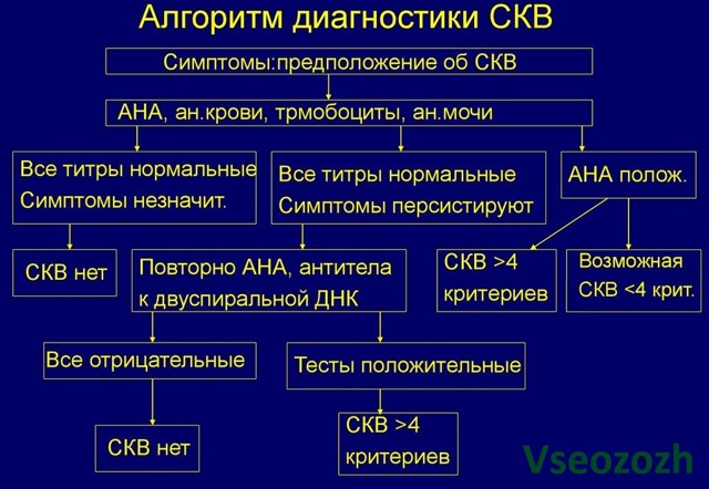 Красная волчанка, что это за болезнь? Фото, лечение и продолжительность жизни