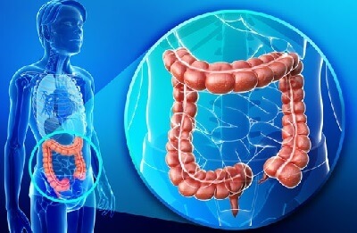 Иерсиниоз: что это такое? Симптомы и способы лечения