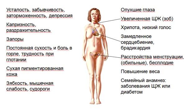 Аутоиммунный тиреоидит щитовидной железы