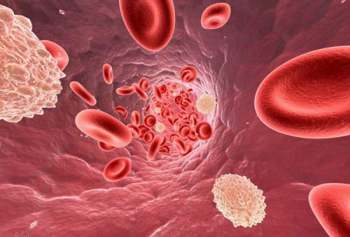 Симптомы аппендицита, первые признаки у взрослых и детей