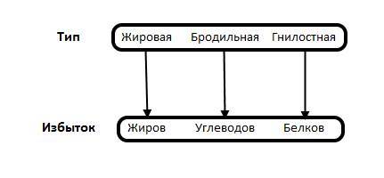 Диспепсия: что это такое? Симптомы и лечение диспепсии