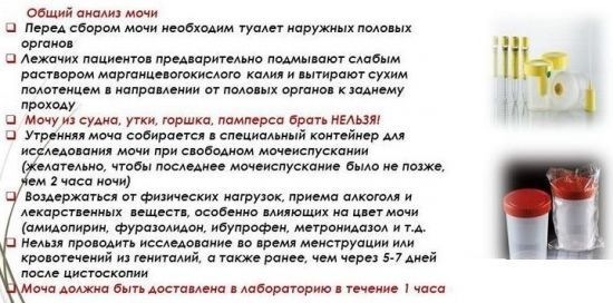Лейкоциты в моче у женщин: норма