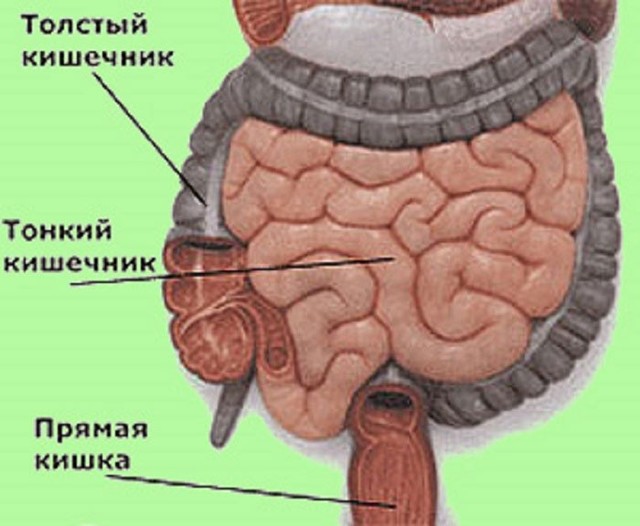 Атония кишечника: первые симптомы и варианты лечения