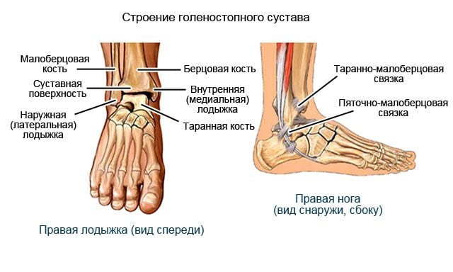 Артроз голеностопного сустава: симптомы и схема лечения