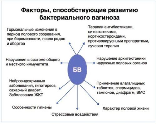 Бактериальный вагиноз: первые симптомы и схема лечения