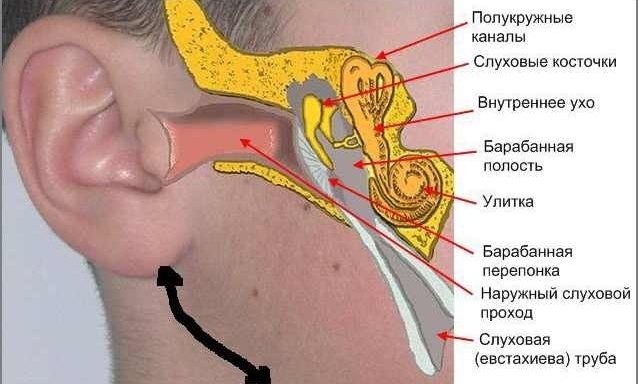 Евстахиит: что это такое? Симптомы и способы лечения
