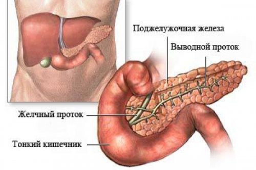 Киста поджелудочной железы: симптомы, причины и лечение