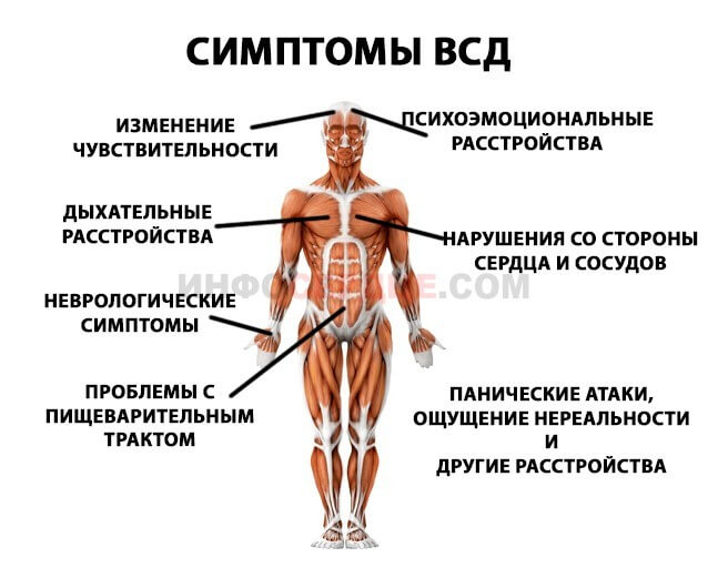 Желудочковая экстрасистолия, что это такое? Лечение и последствия