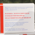 Лептоспироз у человека: симптомы, причины и лечение