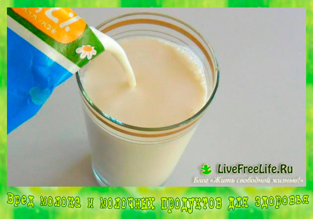 Польза и вред коровьего молока для организма