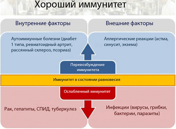 Аутоиммунный тиреоидит щитовидной железы