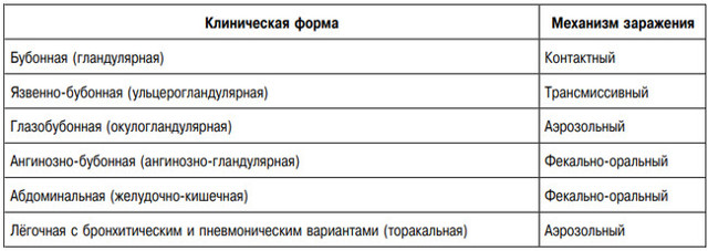 Туляремия, что это такое? Симптомы и лечение у человека