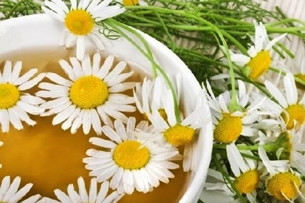 Признаки гонореи у женщин, лечение и профилактика