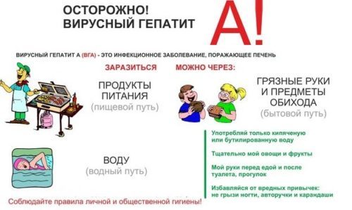 Гепатит А: что это такое, признаки и лечение