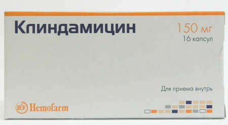 Токсоплазмоз: симптомы у человека, лечение и профилактика